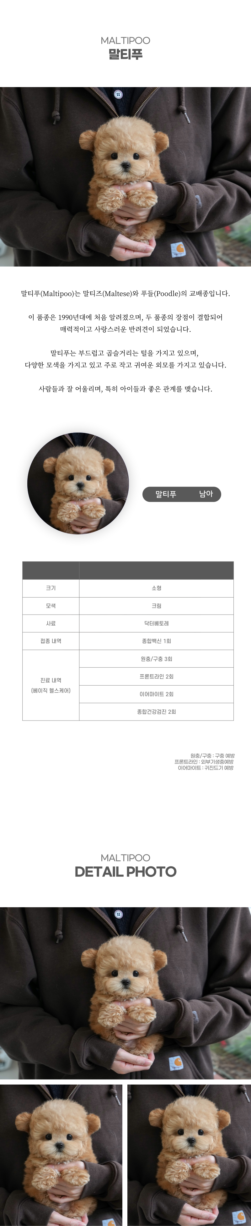 말티푸_상세이미지_2