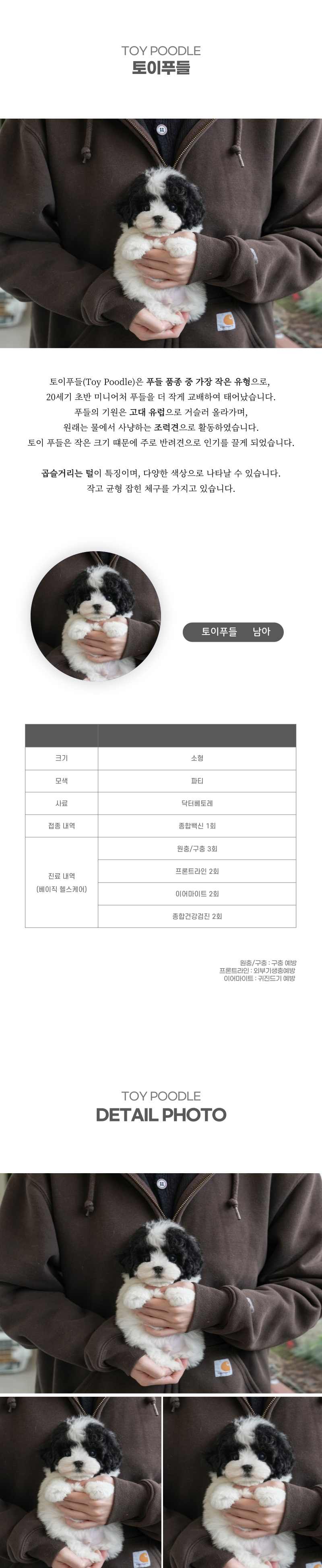 토이푸들_상세이미지_2