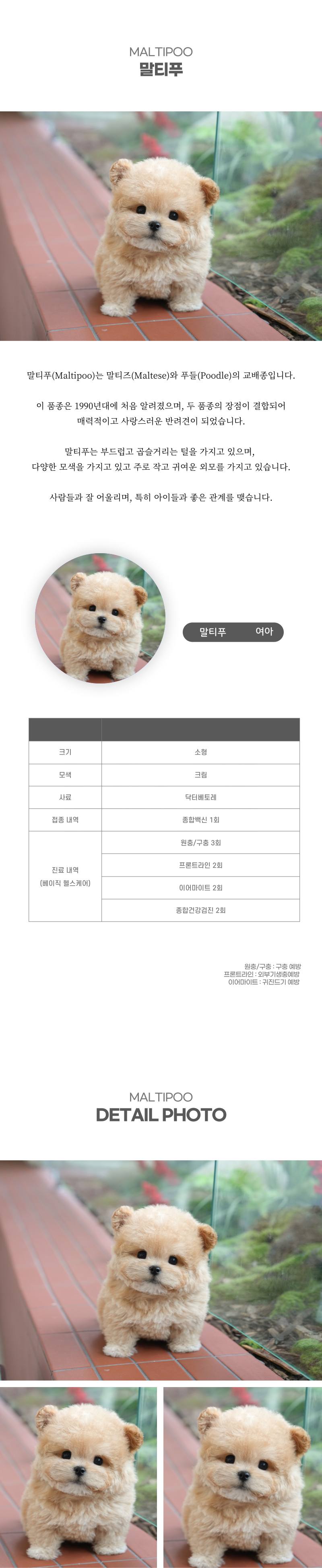 말티푸_상세이미지_2