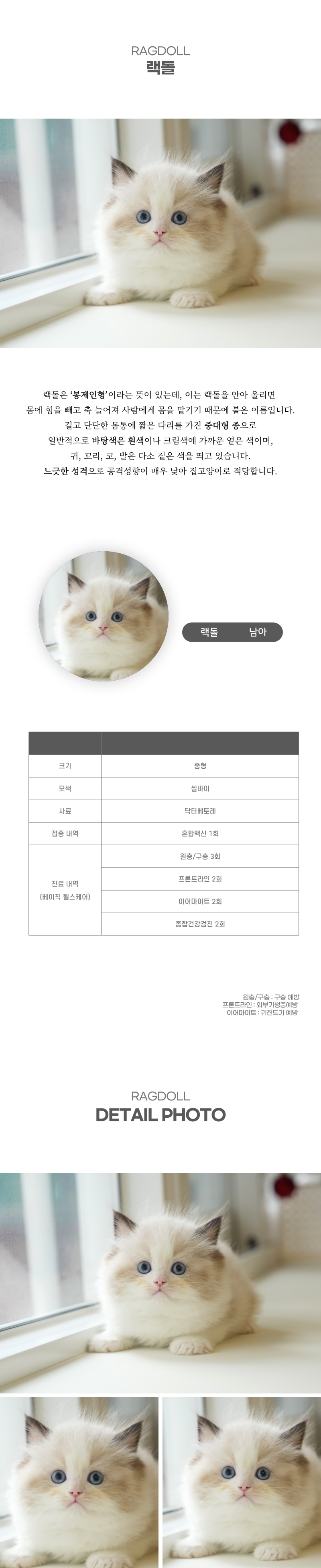 랙돌_상세이미지_2
