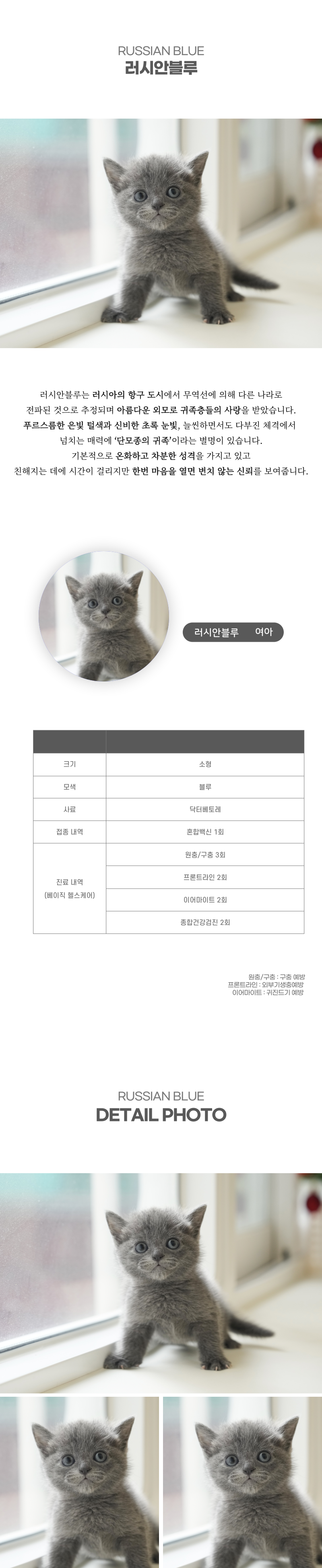 러시안블루_상세이미지_2