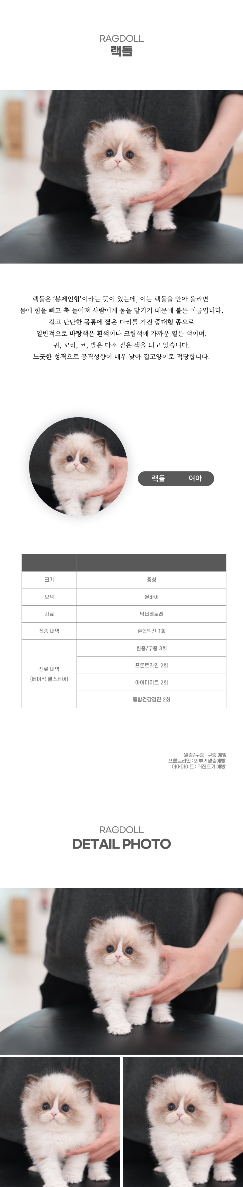 랙돌_상세이미지_2