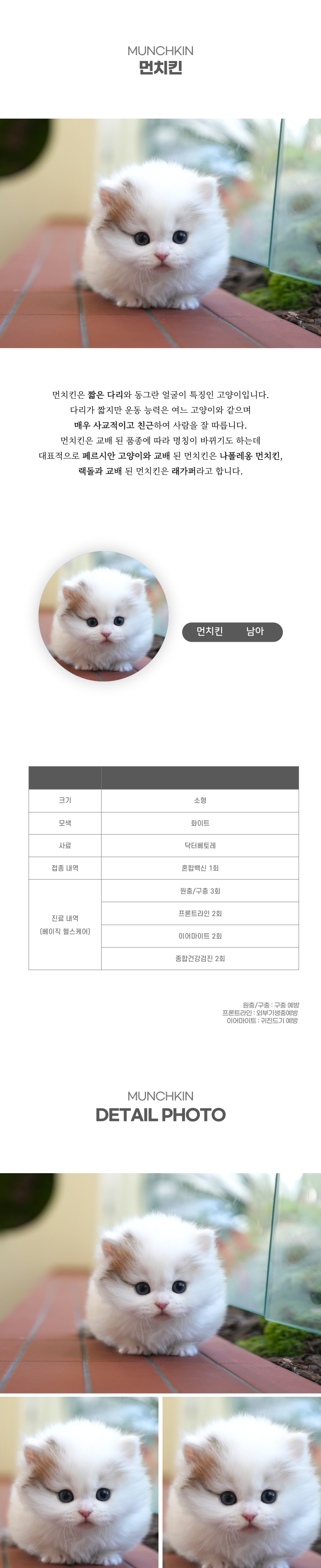 먼치킨_상세이미지_2