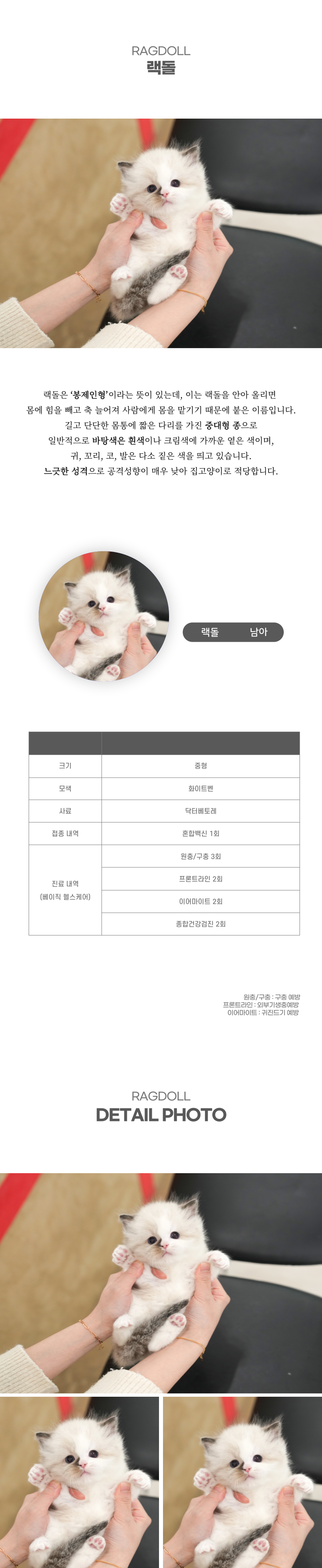 랙돌_상세이미지_2