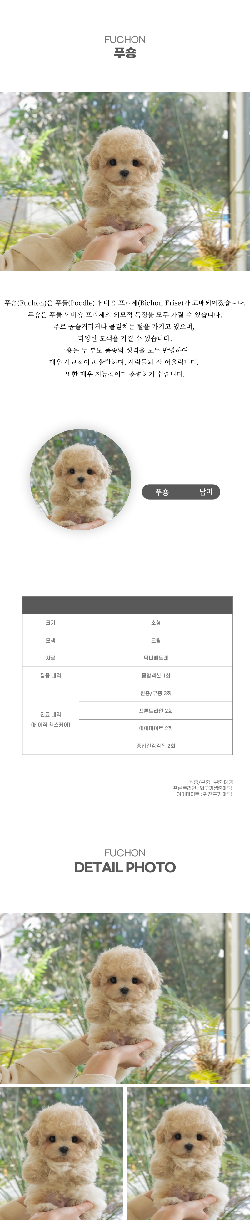 푸숑_상세이미지_2