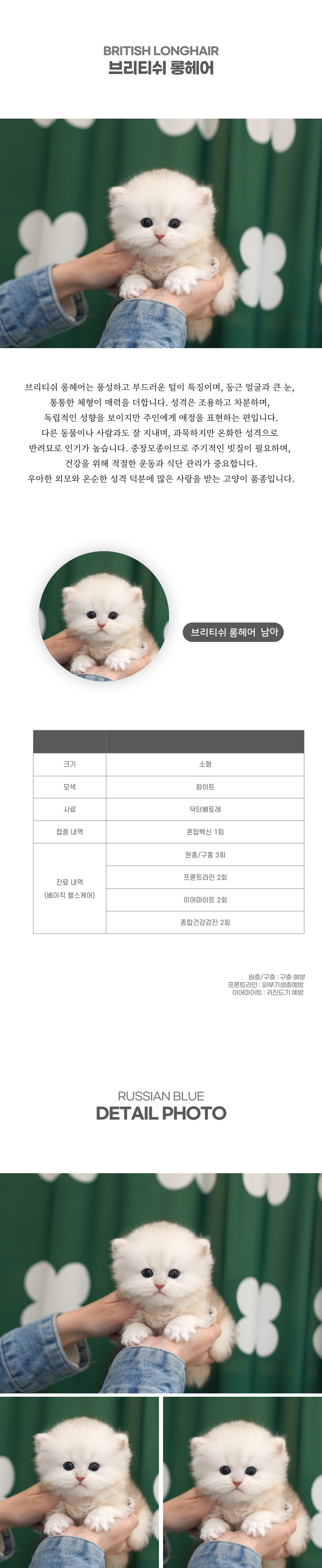 브리티쉬롱헤어_상세이미지_2