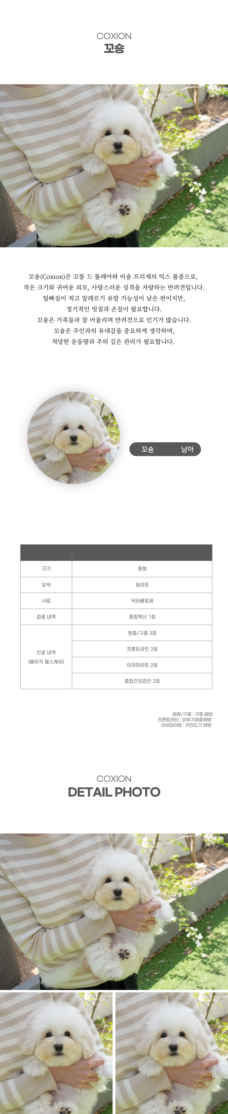 꼬숑_상세이미지_2