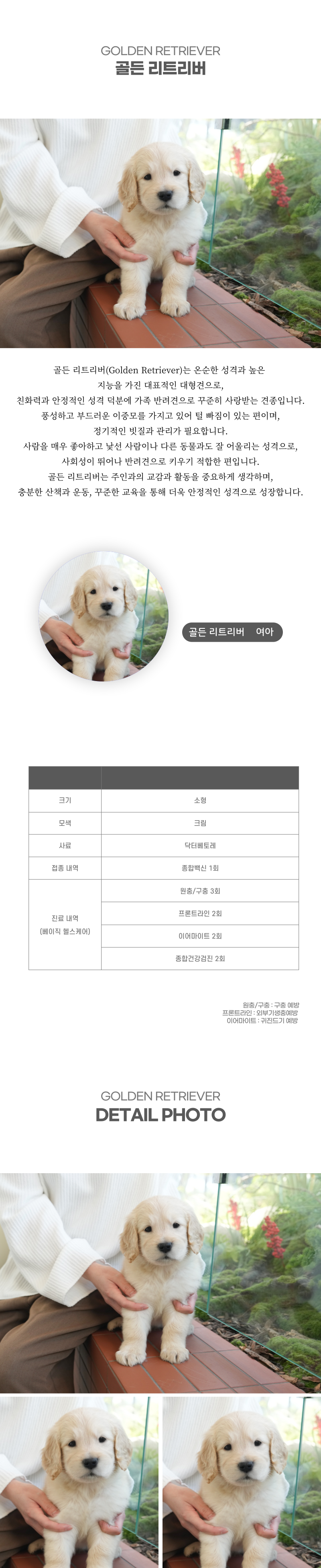 리트리버_상세이미지_2