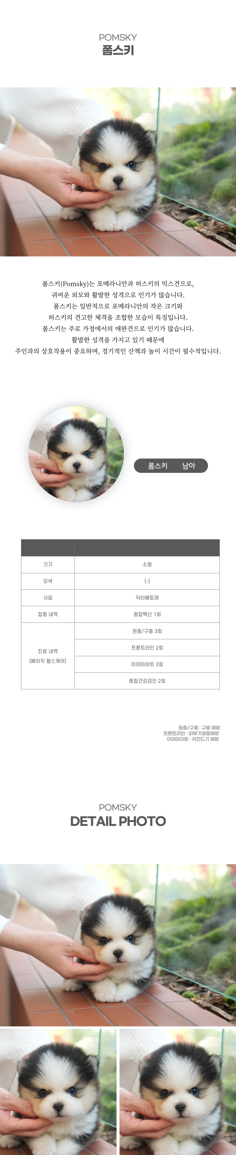 폼스키_상세이미지_2
