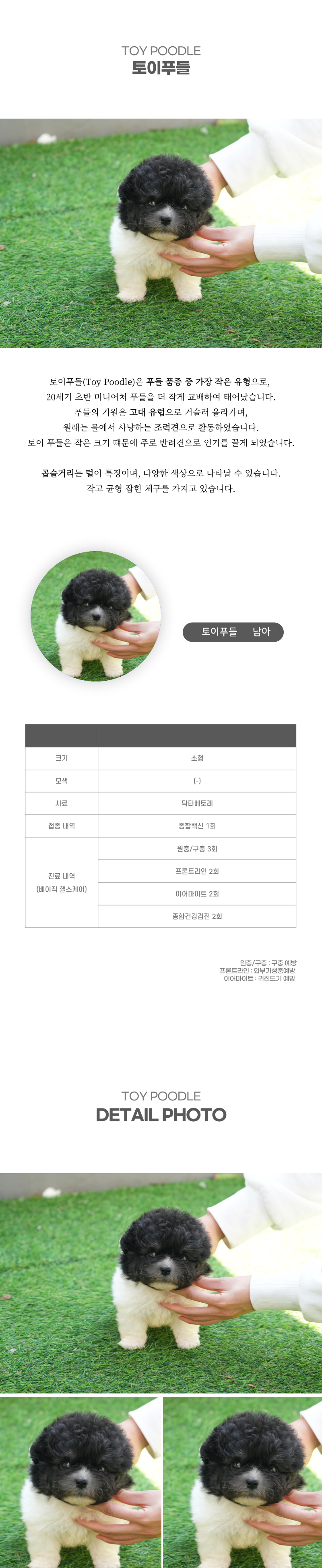 토이푸들_상세이미지_2