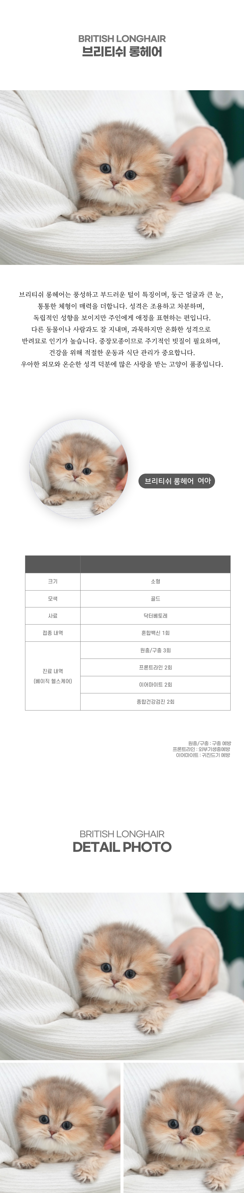 브리티쉬롱헤어_상세이미지_2