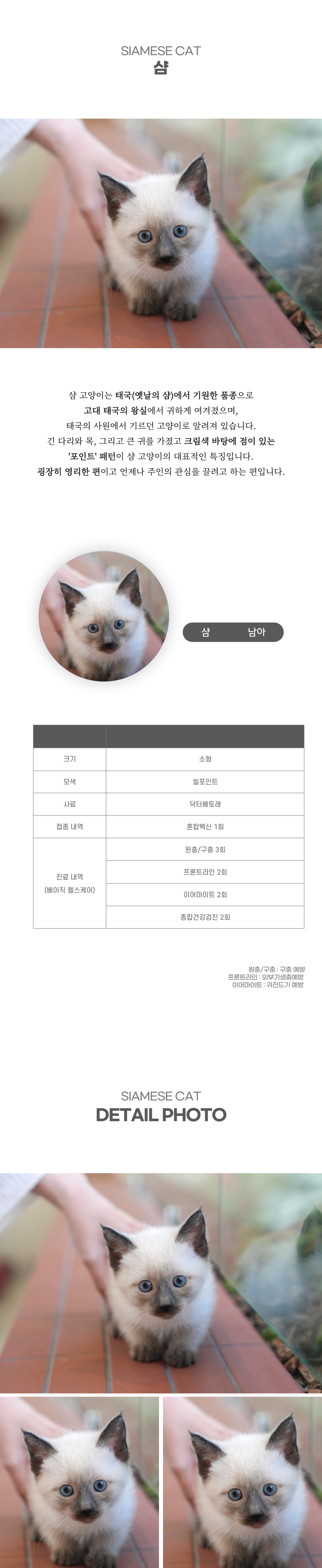 샴_상세이미지_2