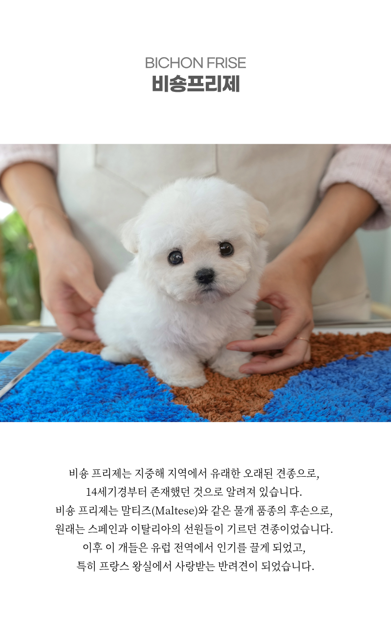 _상세이미지_3