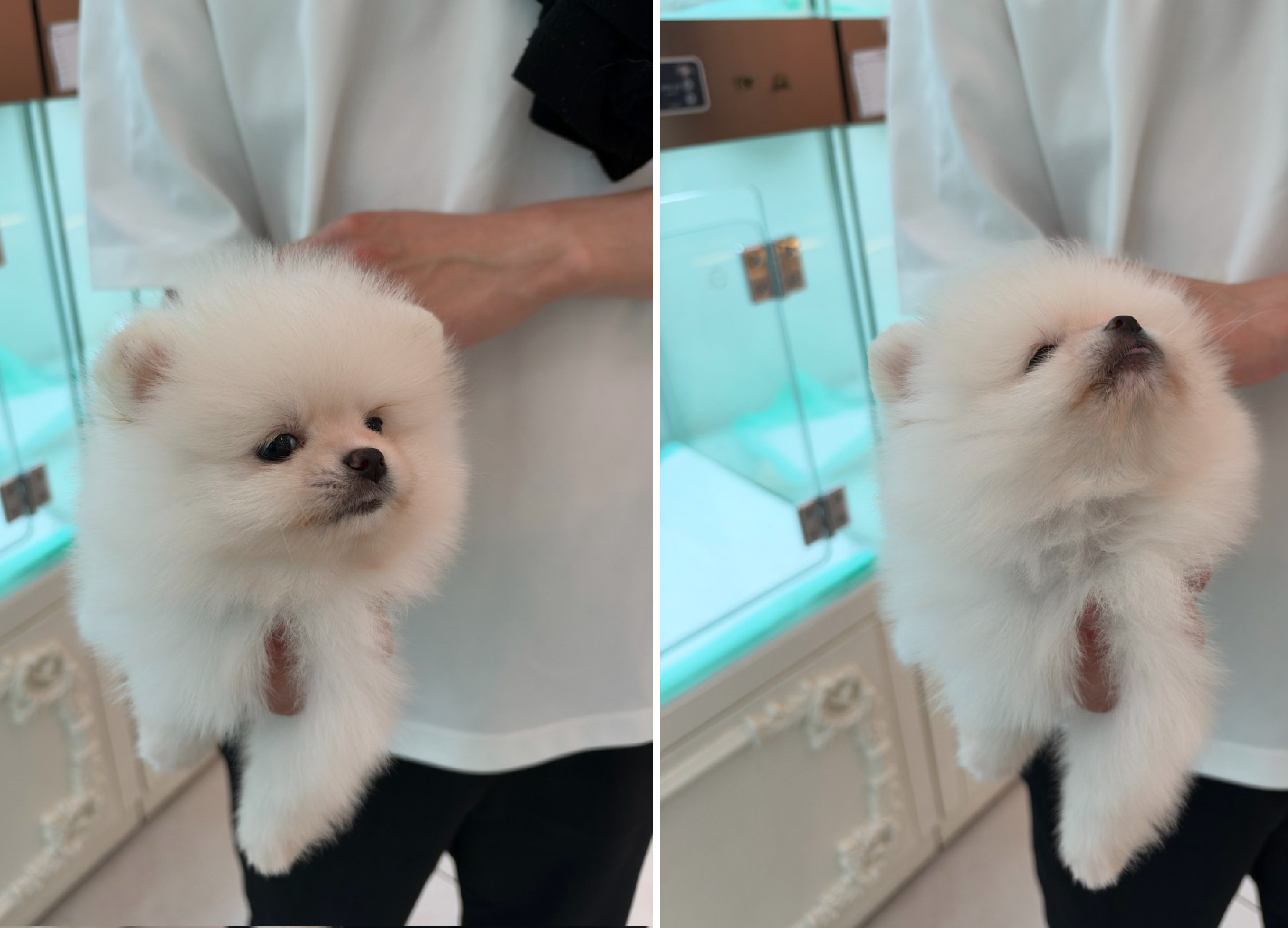 네이버실제리뷰_상세페이지_1