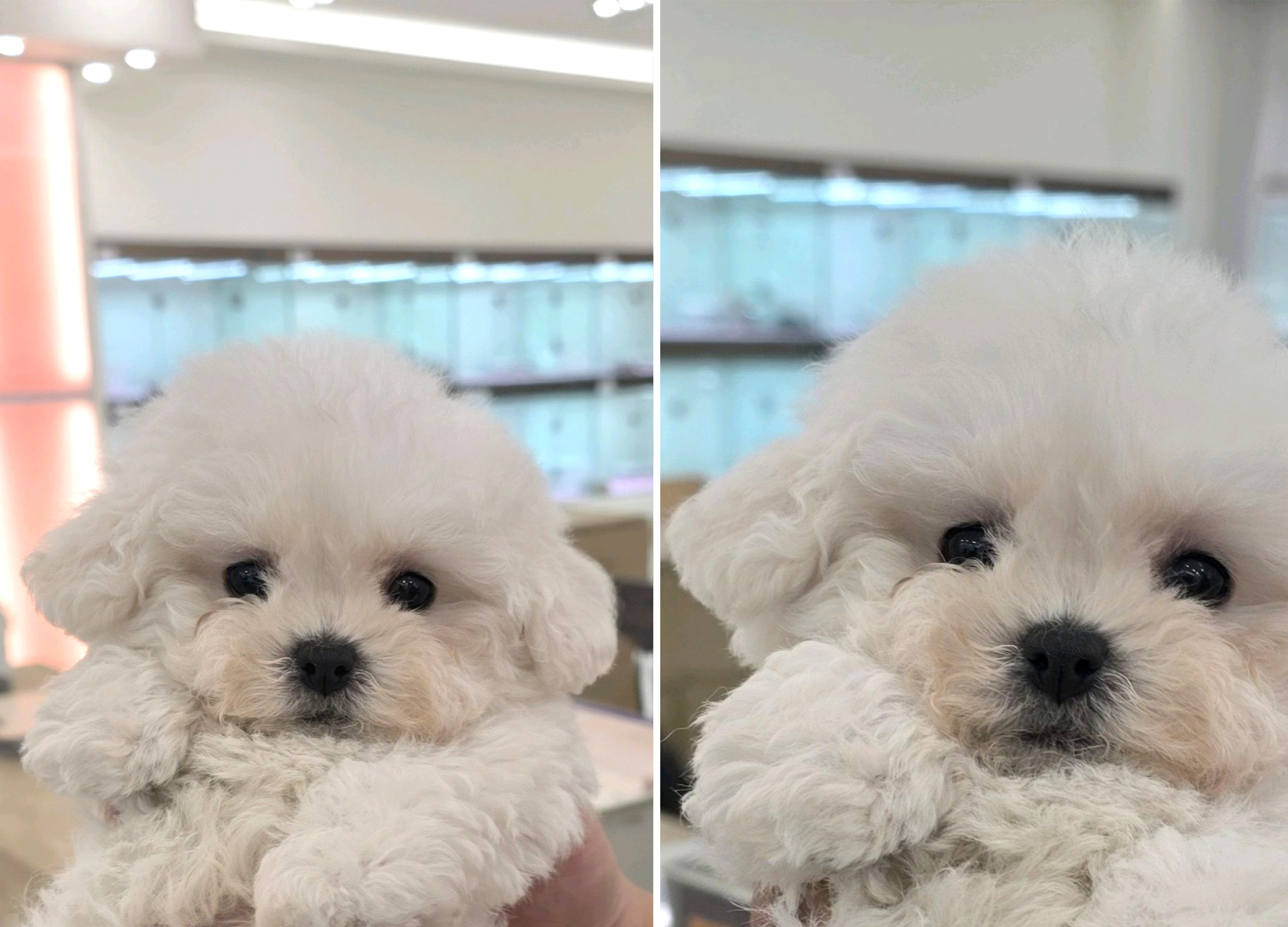 네이버실제리뷰_상세페이지_1