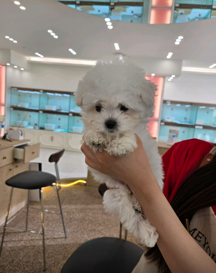 모리 보호자_상세페이지_1