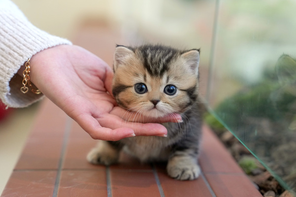 먼치킨_160_여_골든스카이(60).jpg