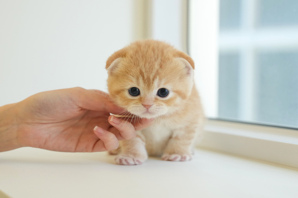 폴드_55_남_일급비밀(24).jpg