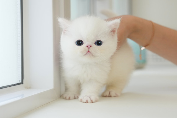 액죠틱_65_여_해이원(24).jpg