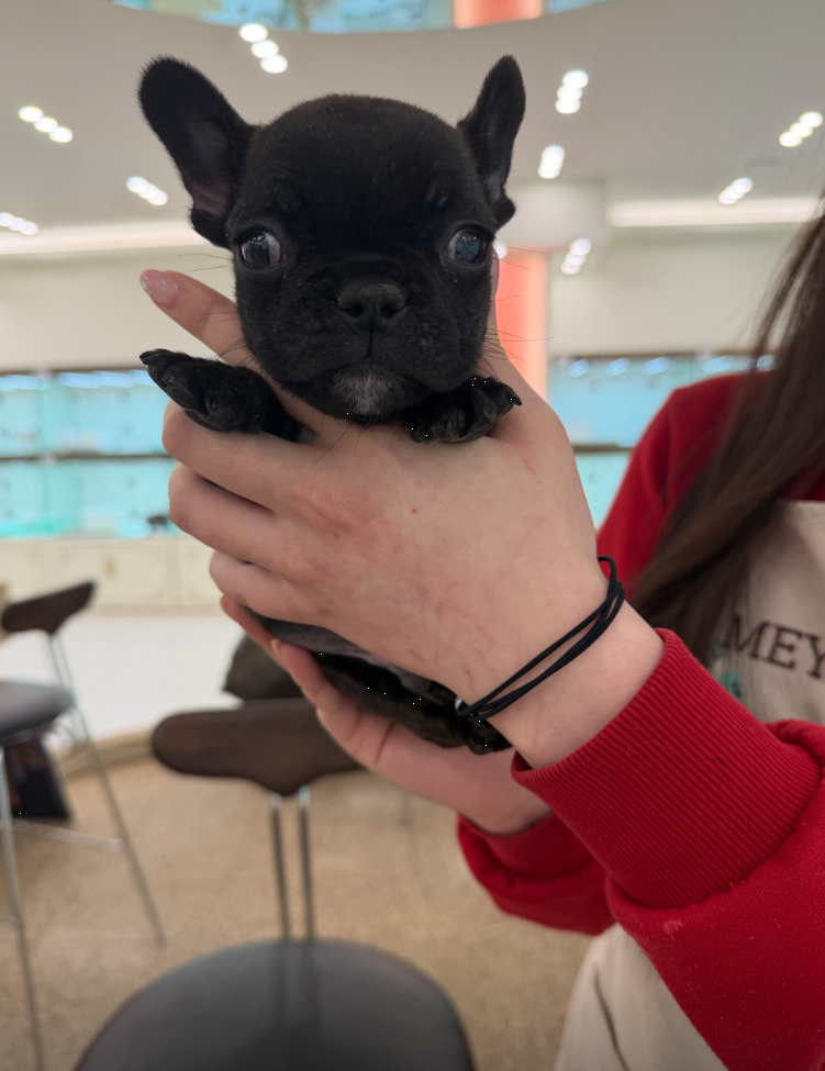동석이 보호자_상세페이지_1