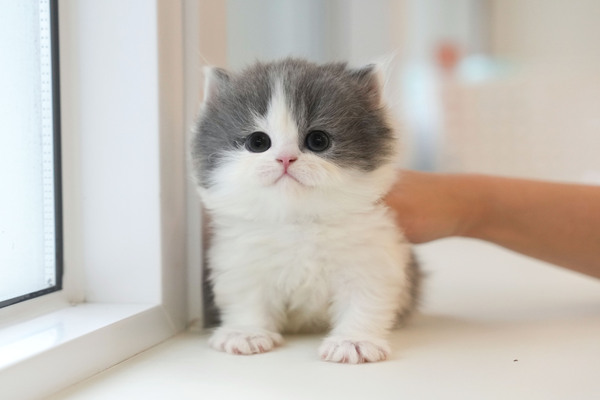 페르_55_여_더블원(10).jpg