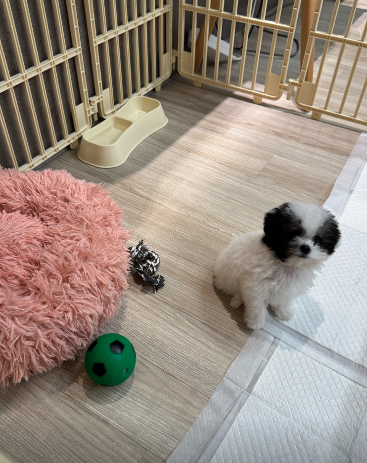 쭉쭉이 보호자_상세페이지_1