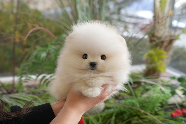포메_ 전화문의_남_나산(55).jpg