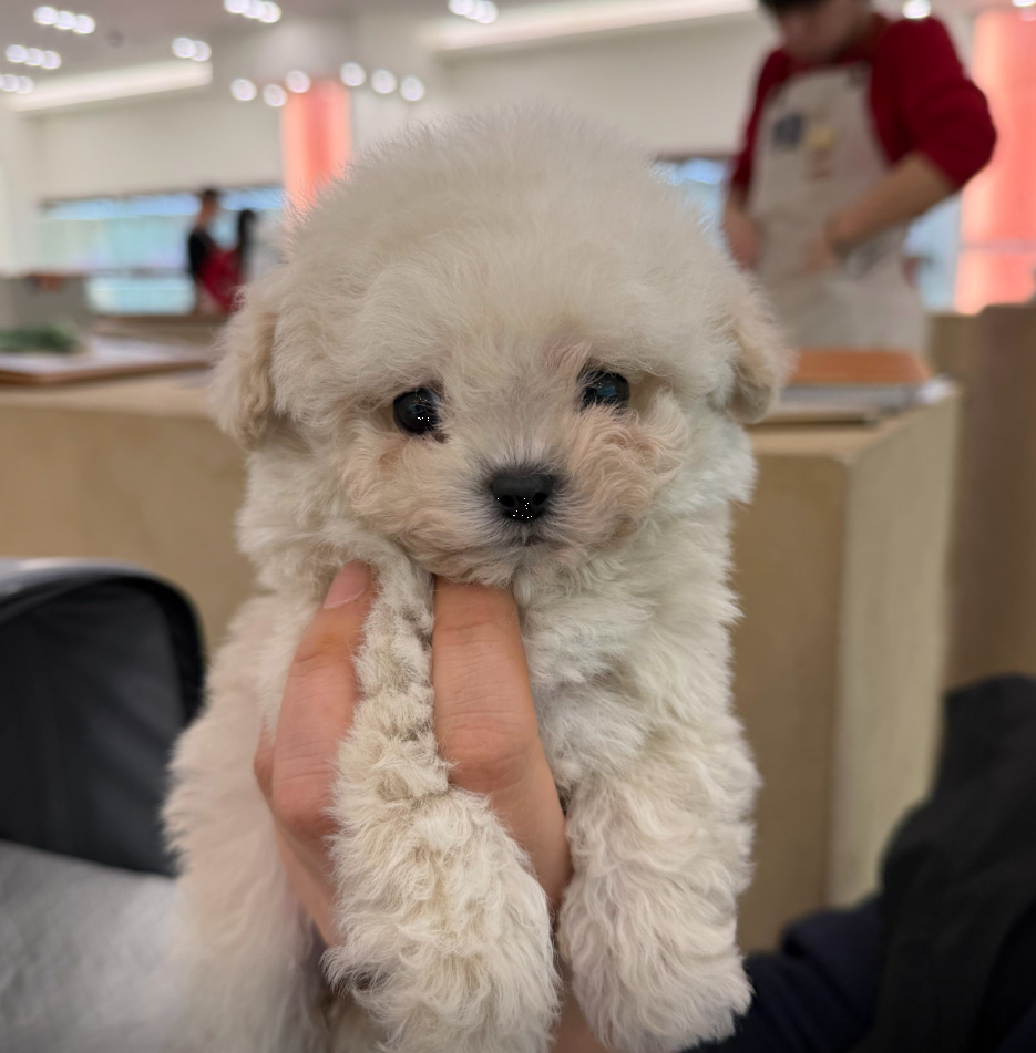 나라 보호자_상세페이지_1