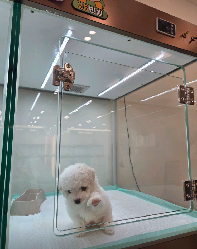 롱이 보호자_상세페이지_1