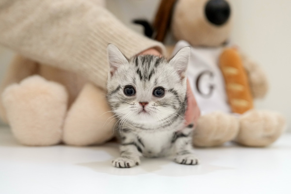 아메숏_75_여_더블원(38).jpg
