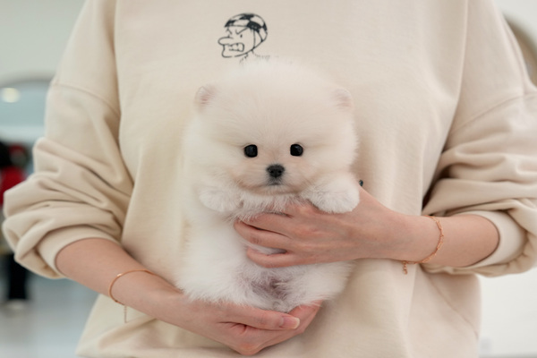 포메_40_남아_이미지_18.jpg