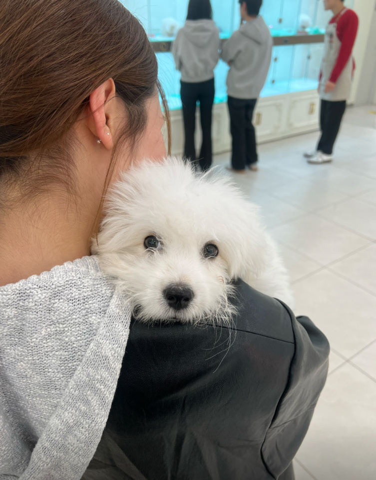 포포 보호자_상세페이지_1