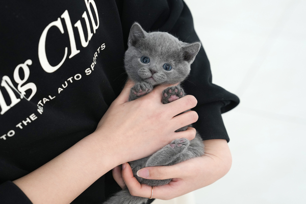 러블_75_남_천성브리더(38).jpg