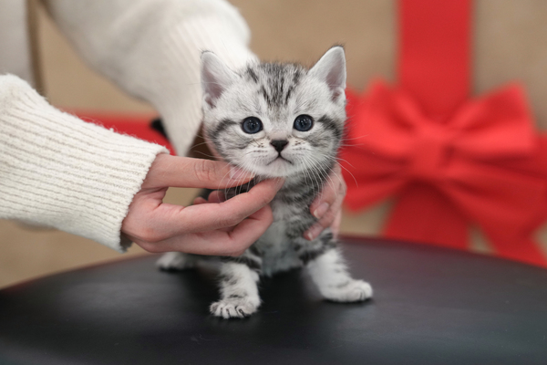 아메숏_65_남_더블원(28).jpg