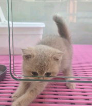 네이버실제리뷰_상세페이지_1