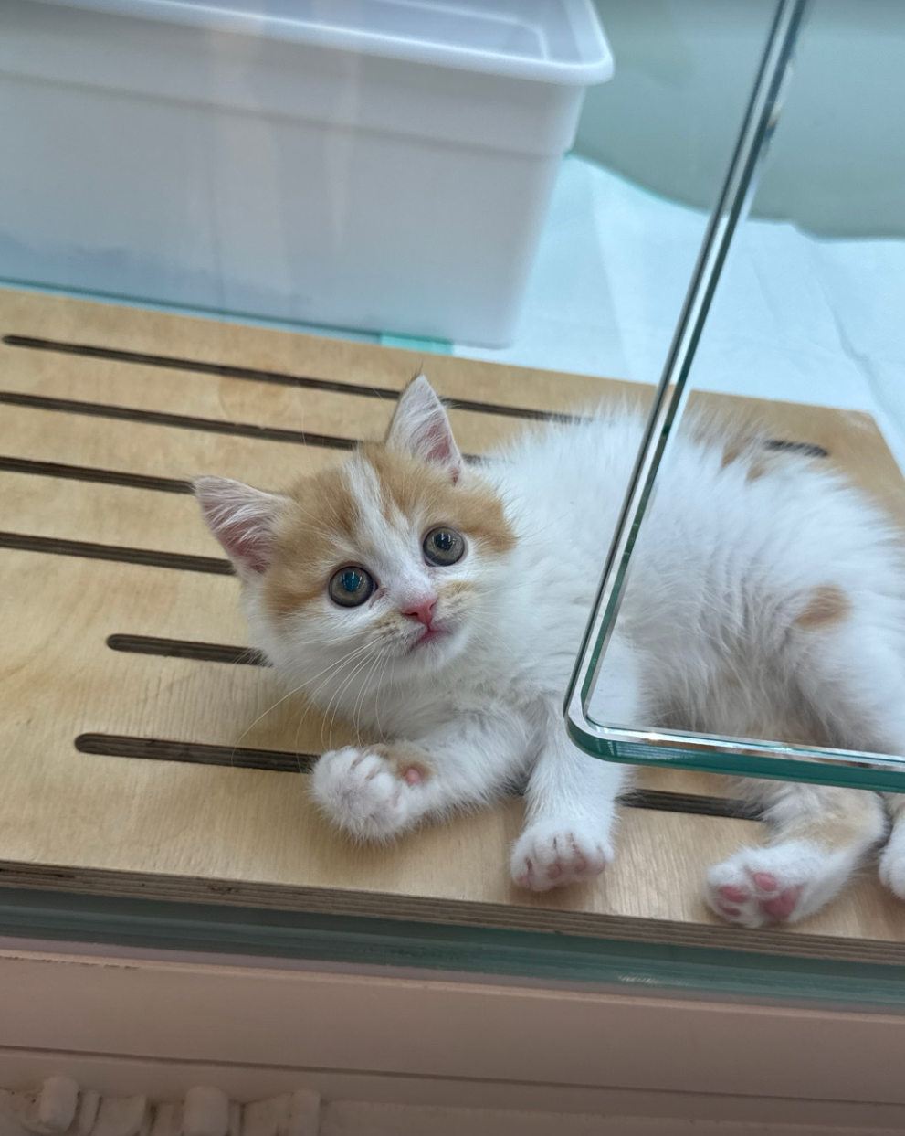 별이 보호자_상세페이지_1