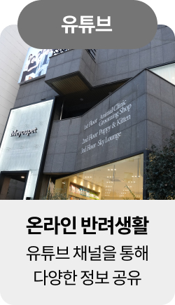 미유펫혜택_섹션1_11