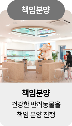 미유펫혜택_섹션1_14