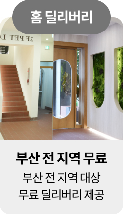 미유펫혜택_섹션1_15