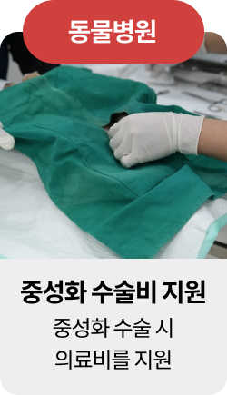 미유펫혜택_섹션1_2