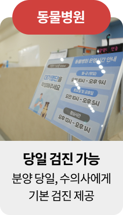 미유펫혜택_섹션1_3