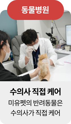 미유펫혜택_섹션1_4