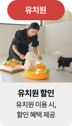 미유펫혜택_섹션1_5