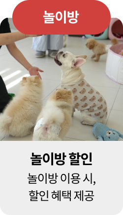 미유펫혜택_섹션1_6
