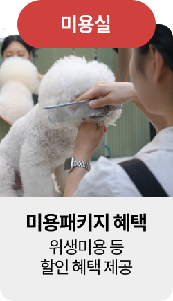 미유펫혜택_섹션1_8