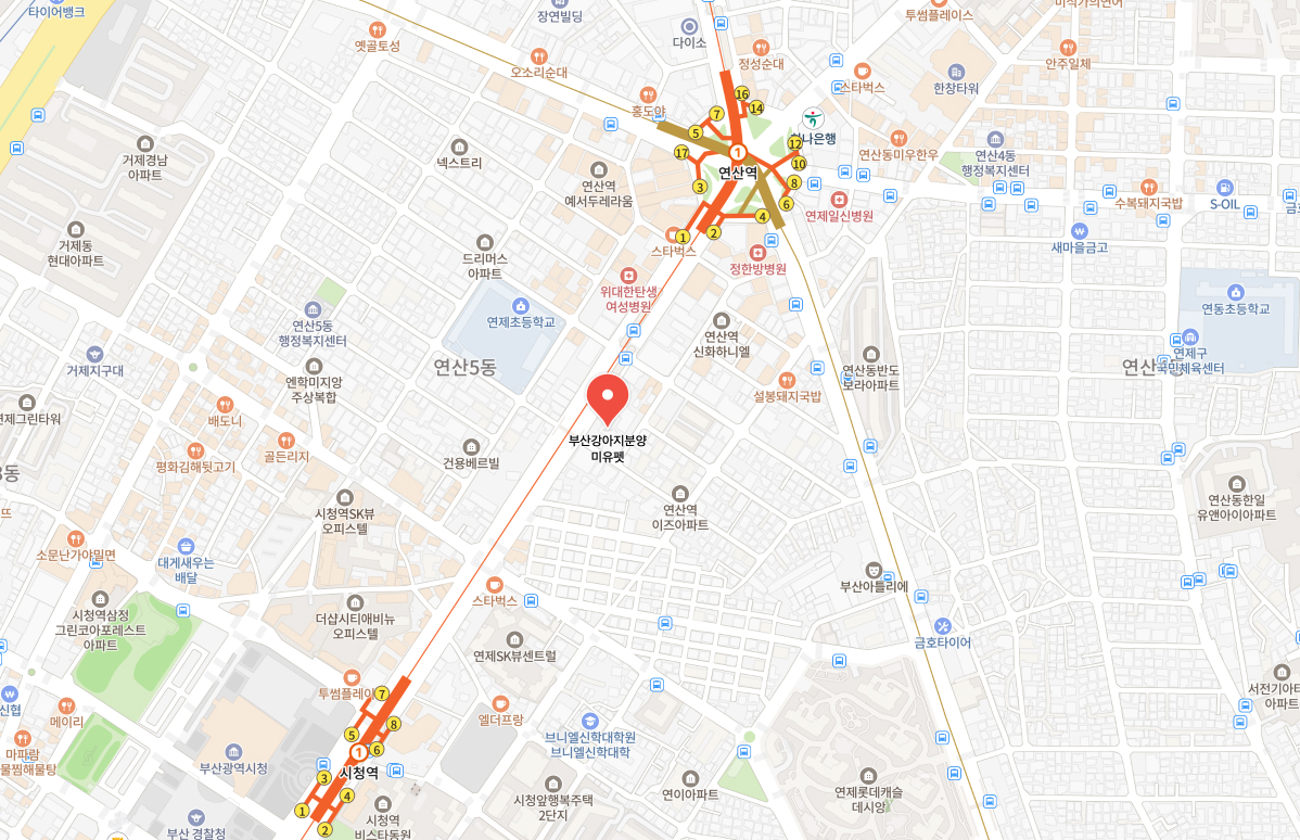 미유펫_회사소개_섹션_3_1