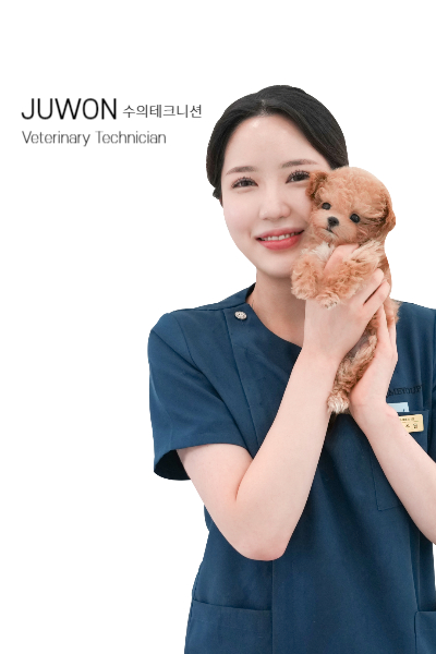 미유펫병원 수의테크니션