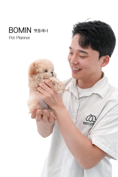 미유펫 펫플래너