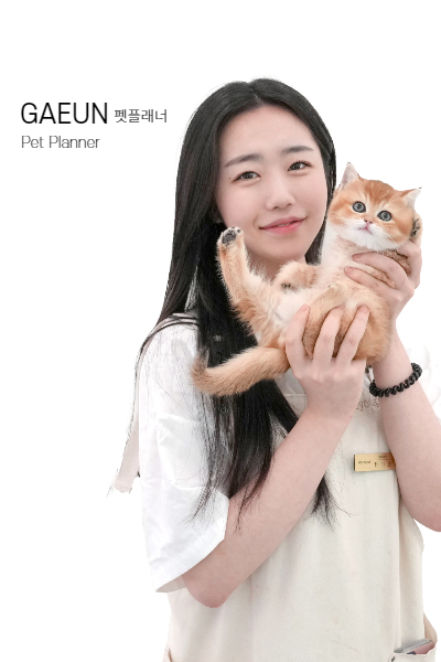 미유펫 펫플래너