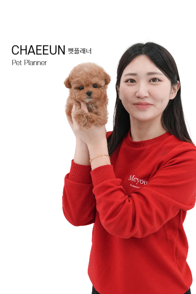 미유펫 펫플래너